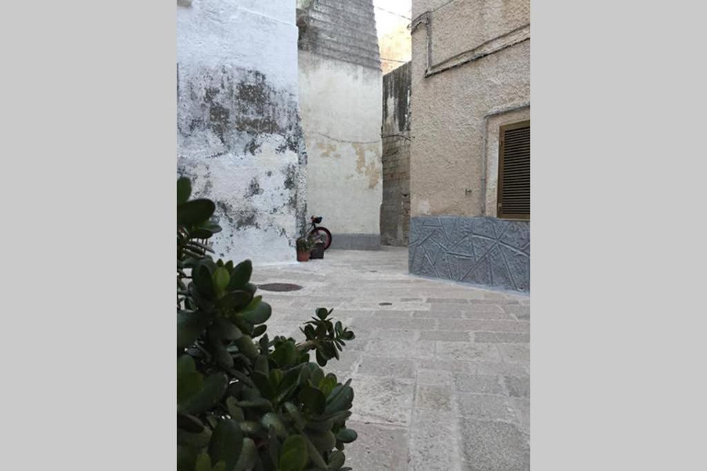 Historic Apartment In Centre Of City 100M To Sea Monopoli Exteriör bild